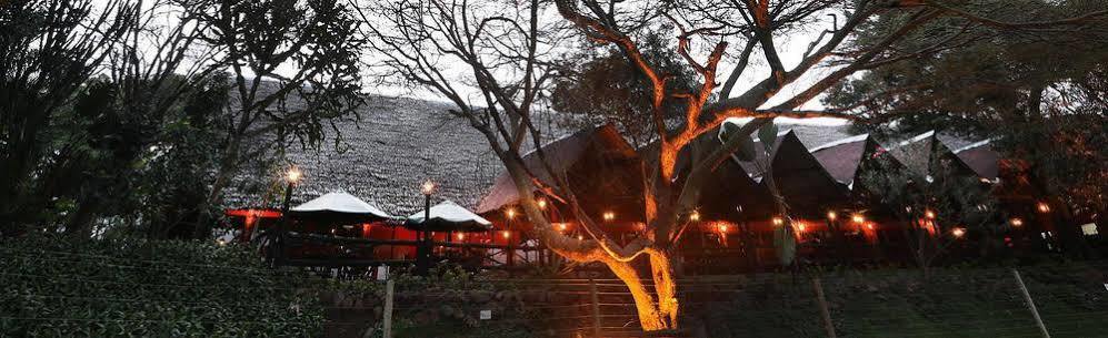 Mara River Lodge Aitong Eksteriør billede